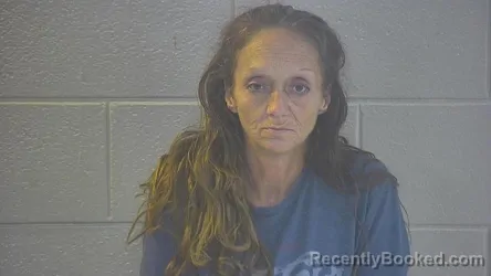 Mugshot of Michelle L Phillips booked in Pulaski County, Kentucky on August 7, 2026