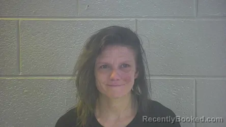 Mugshot of MEGGHAN NICOLE RITENOUR booked in Pulaski County, Kentucky on August 4, 2026
