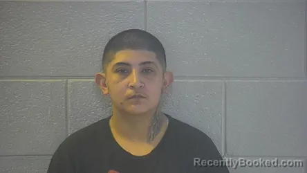 Mugshot of Mercedes Millway Trevino booked in Pulaski County, Kentucky on August 9, 2026