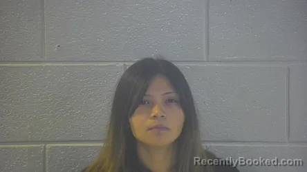 Mugshot of MELINA L VELAZQUEZ COLLINS booked in Pulaski County, Kentucky on July 9, 2026