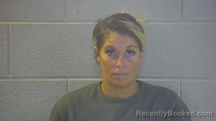 Mugshot of NATASHA L ASHLEY