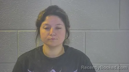 Mugshot of NATASHA L BURKE booked in Pulaski County, Kentucky on June 25, 2026