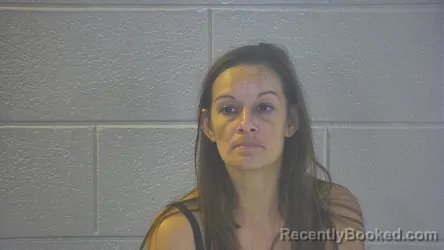 Mugshot of NICOLE ANN CROMER