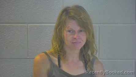 Mugshot of NICHOLE LEANN RICHARDSON booked in Pulaski County, Kentucky on June 22, 2026