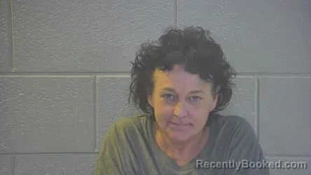 Mugshot of NANCY L SPARKS