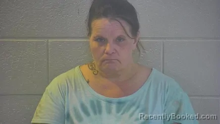 Mugshot of Paula Renee Gibson booked in Pulaski County, Kentucky on August 29, 2026