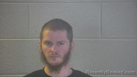 Mugshot of PATRICK WADE HOLLOWAY