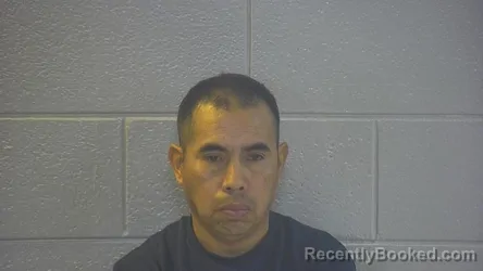 Mugshot of PEDRO O MARTINEZ