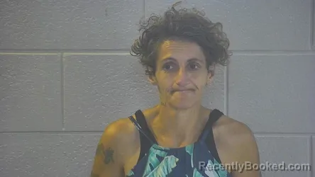 Mugshot of Patricia Lynn Parks booked in Pulaski County, Kentucky on September 1, 2026
