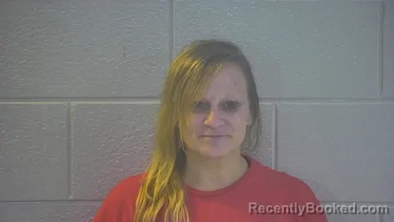 Mugshot of Robin Lee Blevins booked in Pulaski County, Kentucky on August 17, 2026