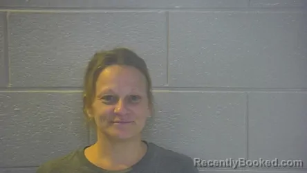 Mugshot of Robin Lee Blevins booked in Pulaski County, Kentucky on September 15, 2026