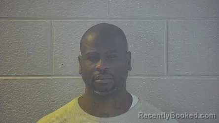 Mugshot of RAMONE L BOYCE
