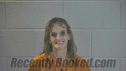 Booking photo from Pulaski County, Kentucky