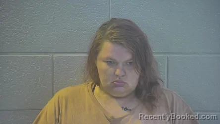 Mugshot of ROBIN L MATTHEWS booked in Pulaski County, Kentucky on April 3, 2026