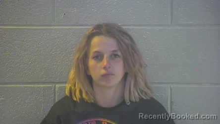 Mugshot of RANDI E RITCHIE booked in Pulaski County, Kentucky on May 2, 2026