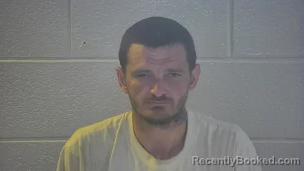 Mugshot of ROY LEE WELLS