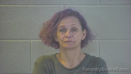 Mugshot of STEPHANIE MARIE FLYNN