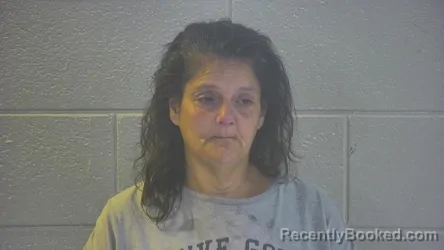 Mugshot of SUE ANN JONES booked in Pulaski County, Kentucky on April 22, 2026