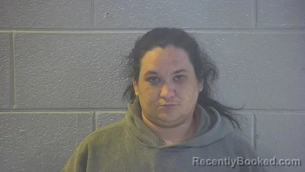 Mugshot of SAMANTHA M LODGER booked in Pulaski County, Kentucky on May 1, 2026