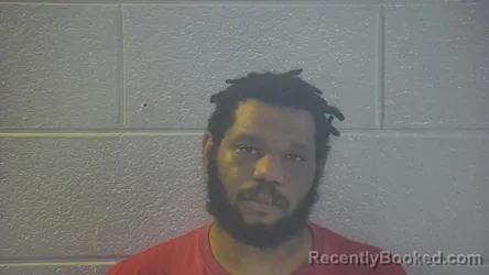 Mugshot of SHANNON D LOFTON booked in Pulaski County, Kentucky on April 29, 2026