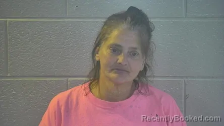 Mugshot of SANDRA LEE MEYER booked in Pulaski County, Kentucky on April 28, 2026