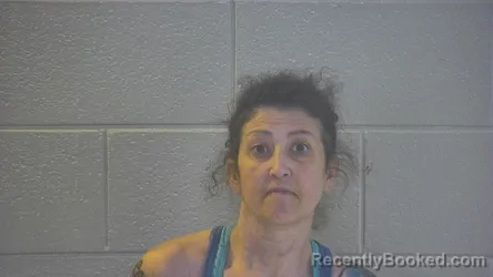 Mugshot of SHAWNA D RUBIO-HENDERICKSON booked in Pulaski County, Kentucky on May 9, 2026