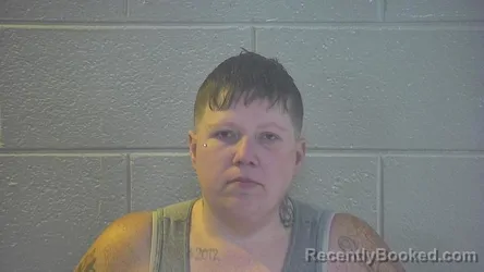 Mugshot of SUMMER D STRINGER