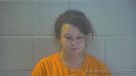 Mugshot of SHANNON LYNN UMMINGER booked in Pulaski County, Kentucky on May 15, 2026
