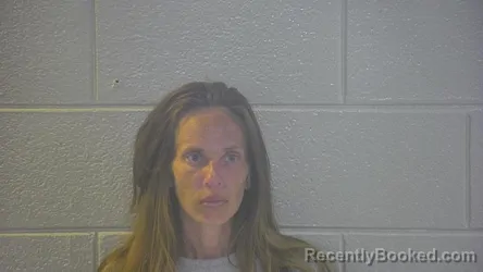 Mugshot of SIERRA K VANHOOK booked in Pulaski County, Kentucky on July 14, 2026