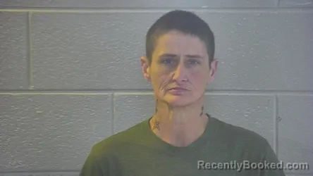 Mugshot of TABITHA JO BLEVINS booked in Pulaski County, Kentucky on May 3, 2026