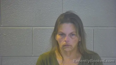 Mugshot of TAMMY DENISE BYRD booked in Pulaski County, Kentucky on June 4, 2026