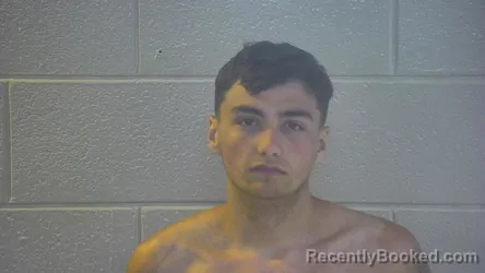 Mugshot of TONY LEE COLLINS