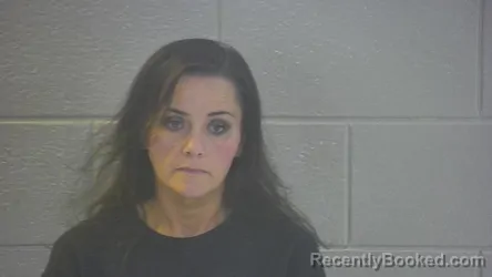 Mugshot of TIFFANY M ELLISON booked in Pulaski County, Kentucky on July 4, 2026