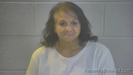 Mugshot of TAMMY BARBARA SULLIVAN booked in Pulaski County, Kentucky on April 8, 2026