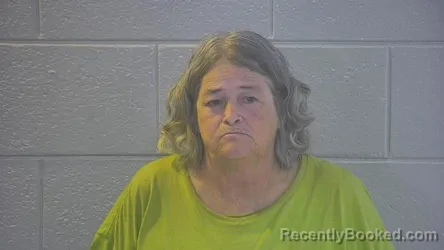 Mugshot of VICKIE L HOLTZCLAW booked in Pulaski County, Kentucky on July 9, 2026
