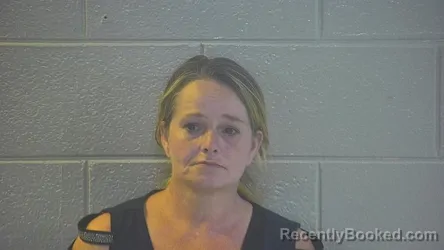 Mugshot of WENDY FAYE HALE booked in Pulaski County, Kentucky on April 15, 2026