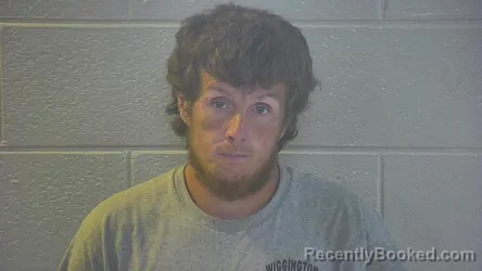 Mugshot of WESLEY JAMES SWINSON booked in Pulaski County, Kentucky on July 9, 2026
