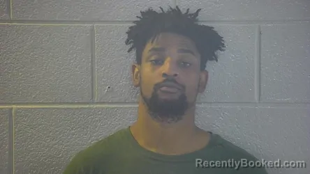 Mugshot of ZEEK N COOK