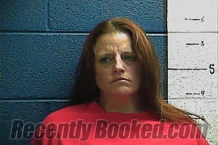 Booking photo from Rockcastle County, Kentucky