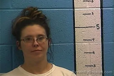 Mugshot of JAMIE L BRADLEY