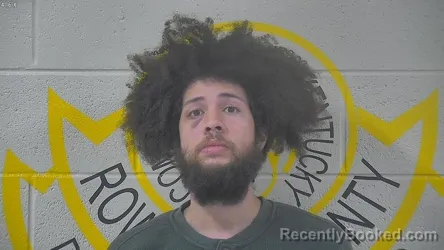 Mugshot of LOGAN SAYLES