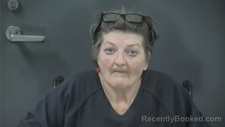 Mugshot of CONNIE MILLER booked in Russell County, Kentucky on June 20, 2026