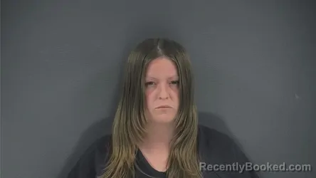 Mugshot of DANNI L BURGIN