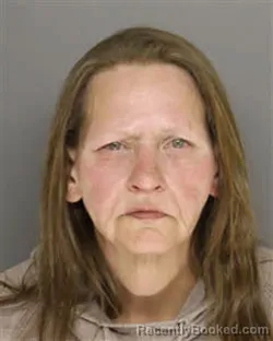 Mugshot of SANDRA KING HAWKINS booked in Moore County, North Carolina on March 25, 2026