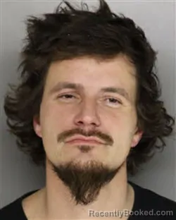 Mugshot of MASON LEE WILLIAMSON