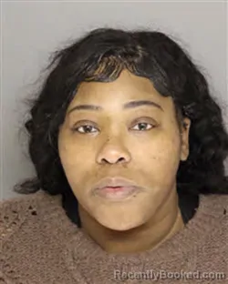 Booking photo from Moore County, North Carolina