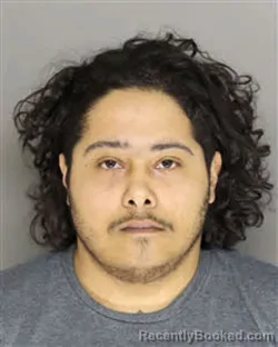 Mugshot of JULIAN CHRISTOPHER NIVAR