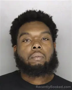 Mugshot of BRANDON SHAUQUAN PALMER