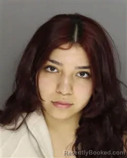 Mugshot of AMY MICHELLE ARGAIZA booked in Moore County, North Carolina on March 21, 2026