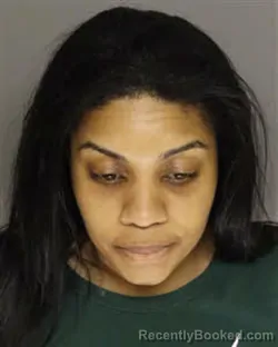 Mugshot of ALONA LASHANN TURNER-MCNEILL booked in Moore County, North Carolina on April 17, 2026